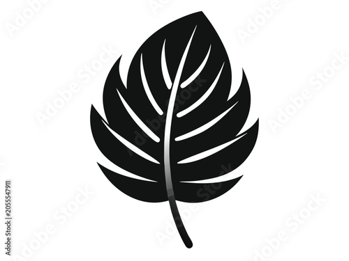 single leaf shilhouette design on a white background