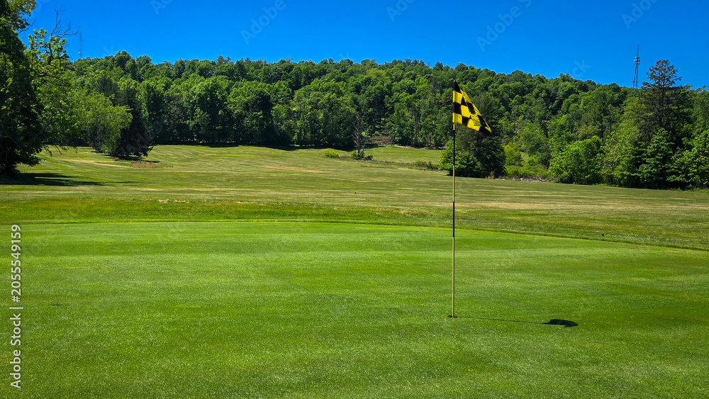Fototapeta premium Golf course green with checkered flag and forest background