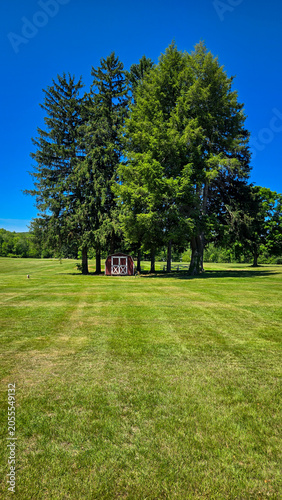 Small red wooden shed in green meadow with evergreen trees
