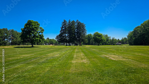 Green grass field with trees under a clear blue sky