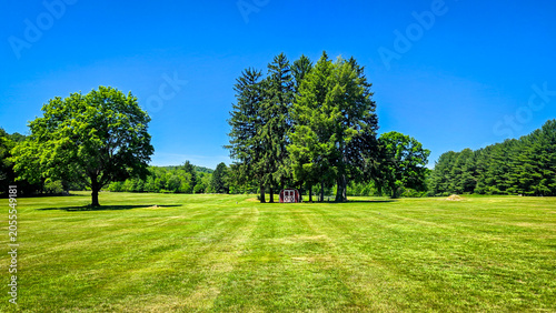 Small Red Barn in Large Green Field with Pine Trees