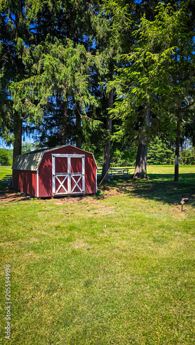Red wooden storage shed in a grassy backyard with pine trees