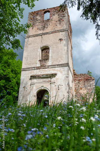 Fotografi Sunny landscape with old stone church ruins, The church was a brick building with a rectangular chancel and a protruding tower with a baroque spire