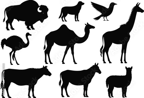 Photography Collection of diverse animal silhouettes including bison camel giraffe ostrich a