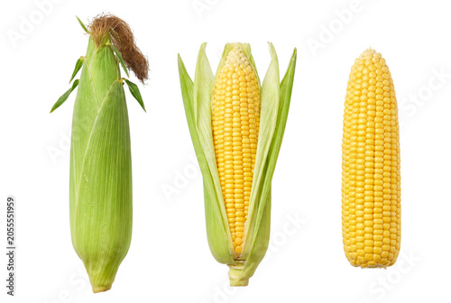 Photos Corn cobs with husk and kernels, isolated on transparent background