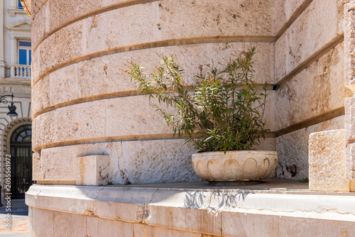 Schilderij op canvas a bright green plant growing in a large decorative stone bowl placed on a ledge of a curved building facade