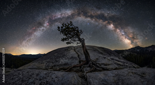 Perfect arch of the milky way galaxy over a lone tree growing on a rocky dome