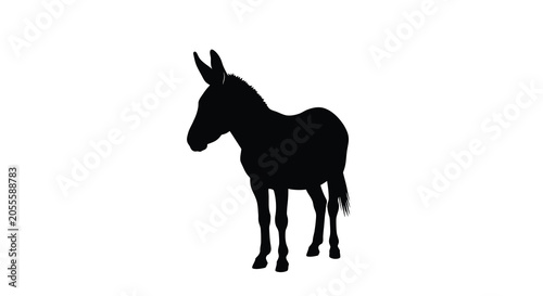 Donkey silhouette against a white background asinine