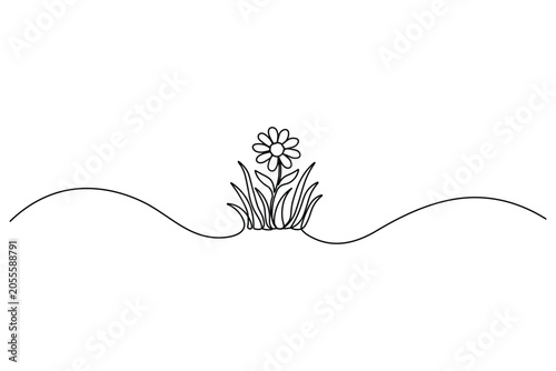 Minimalist one line art of a chamomile flower and meadow weeds