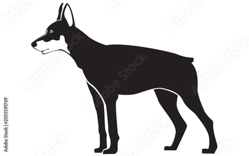 black and white dog no background 