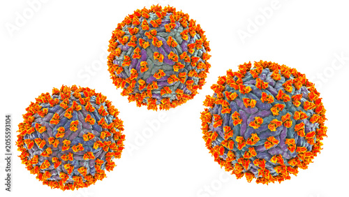 Fotografie Dengue virus bound with neutralizing human antibodies, 3D illustration showing flavivirus particles coated by immunoglobulins, illustrating antiviral immune response
