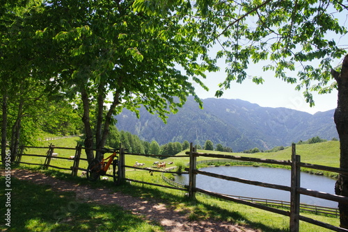 Almlandschaft