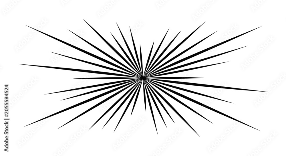 Fototapeta premium Black starburst graphic design element.