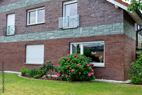 Quadro su tela Exterior view of a contemporary residential house built with red clinker bricks and stone accents, featuring a large pink hydrangea shrub in the front yard