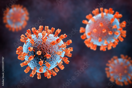 Quadro em tela Junin virus particle, 3D illustration showing enveloped arenavirus with granular ribonucleoprotein structure, causative agent of Argentine hemorrhagic fever