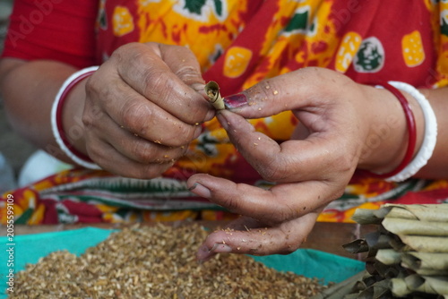 Hands Rolling Traditional Leaf Cigarettes on Dried Tobacco