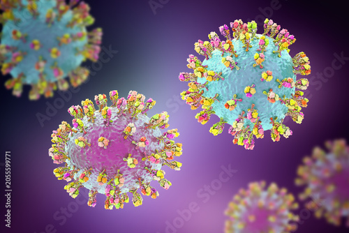 Junin virus particle, 3D illustration showing enveloped arenavirus with granular ribonucleoprotein structure, causative agent of Argentine hemorrhagic fever.