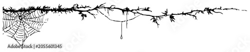 Fotografie Gothic spider web and thorny branch border vector, halloween decorative line art