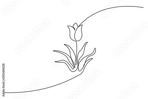 Simple outline vector illustration of a spring tulip floral design