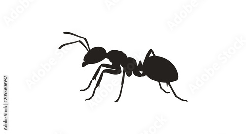 Cuadro en lienzo Black Ant Silhouette On White Background Minimalist Insect Form