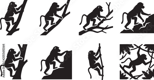 Photography Agile baboons and monkeys climbing steep rocks silhouettes