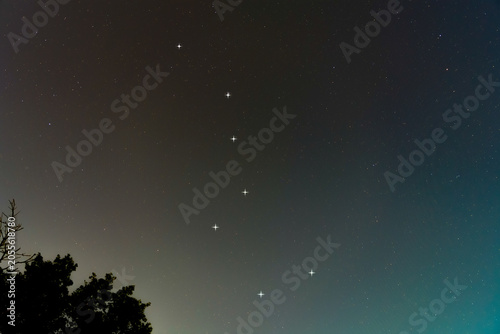 Obraz na plátne The Big Dipper in Charleston Night Sky