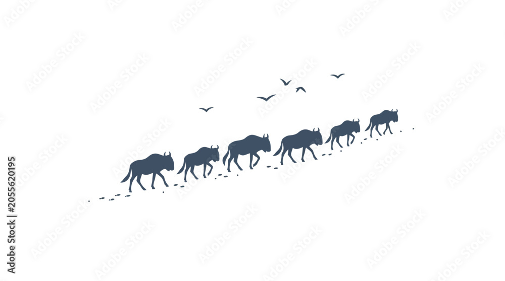 Fototapeta premium Herd of wildebeests migrating across white background