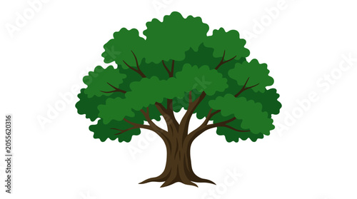 Slika na platnu Lush green oak tree standing alone on white background.