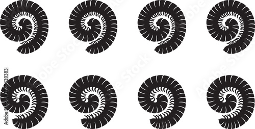 Foto Prehistoric ammonite fossil nautilus shells spiral geometric silhouettes