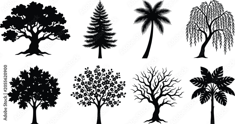 Obraz premium Tree Silhouette Collection Set Featuring Oak Pine Palm Willow Maple Flowering and Bare Trees Vector Illustration