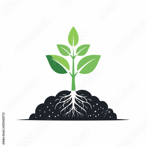 Green Sprout Growing from Soil with Visible Roots