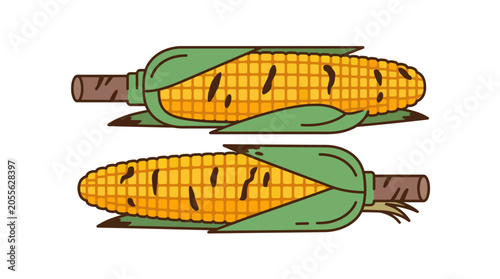 Photos Two grilled ears of corn on cob with husks.