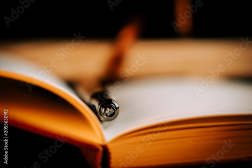 Elegant pen rests on open book pages in warm light for creative thought