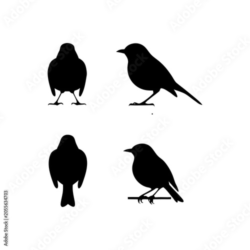 Set of black bird silhouettes from different angles, vector illustration on white background for design.