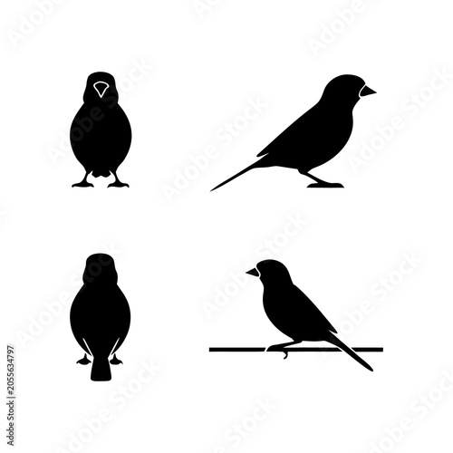 Small songbird silhouettes collection in various poses.