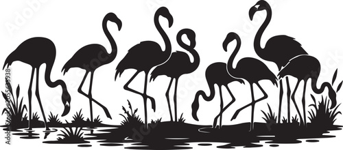 Photos Black silhouette flock of flamingos standing and feeding in a marshy wetland swa