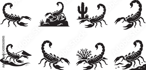 Schilderij op canvas Dangerous desert scorpions with raised stingers in attacking poses