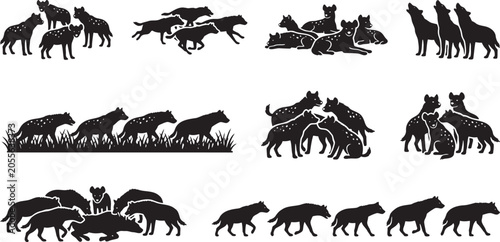 Tableau sur toile African hyena scavenger packs roaming and running in savanna