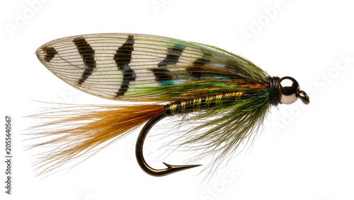 Konstfotografi Detailed fishing fly lure with patterned wings and green feathers, isolated on t