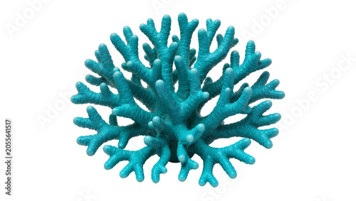 Bild auf Leinwand Teal branching coral reef structure, isolated on transparent background