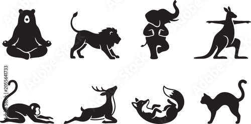 Photography Relaxing and stretching wild animals in flexible physical poses