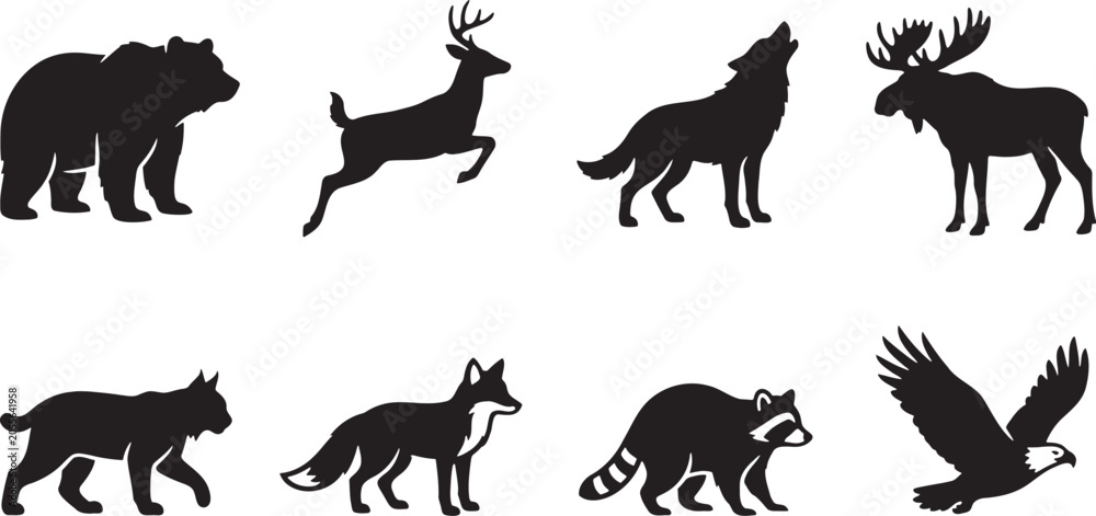 Obraz premium Forest wild animals and birds of prey collection
