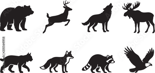 Bild auf Leinwand Forest wild animals and birds of prey collection