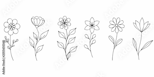 Bild auf Leinwand Floral Ornament Collection Minimalist Line Art Style On White Background
