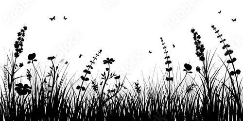 Foto Black Silhouette Of Meadow Grass And Wildflowers Against White Background