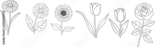 Floral coloring page vector daisies sunflowers tulips roses line art book