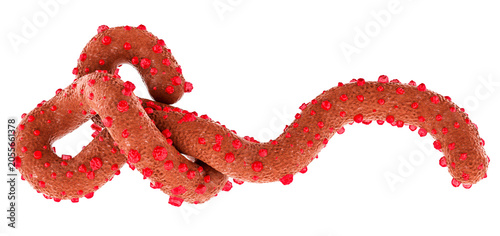 Ebola virus particle. 3D rendering