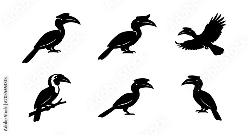 Quadro su tela African Hornbill Bird Silhouettes, Tropical Avian Wildlife Vector Icons, Exotic