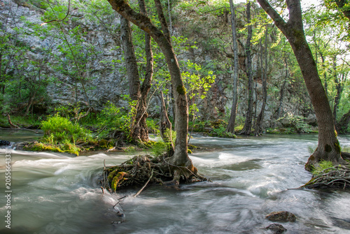 Fast mountain river flowing through trees against a rocky cliff background
