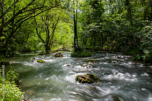 Scenic wild river with strong current flowing through a dense summer forest
